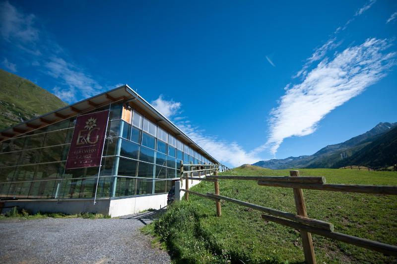 Hotel Edelweiss & Gurgl 奥伯古格尔 外观 照片